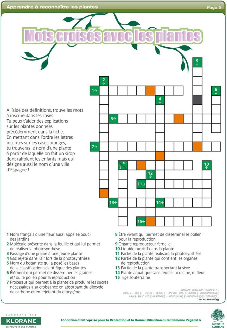 Découvrir Les Plantes Autrement 1. Aux Mots Croisés Avec Les avec Mots Croisés Gratuits À Imprimer Cycle 3