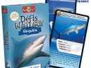 Defis Nature - Requins | Jeux De Societe | Jouéclub pour Jeu De Societe Requin