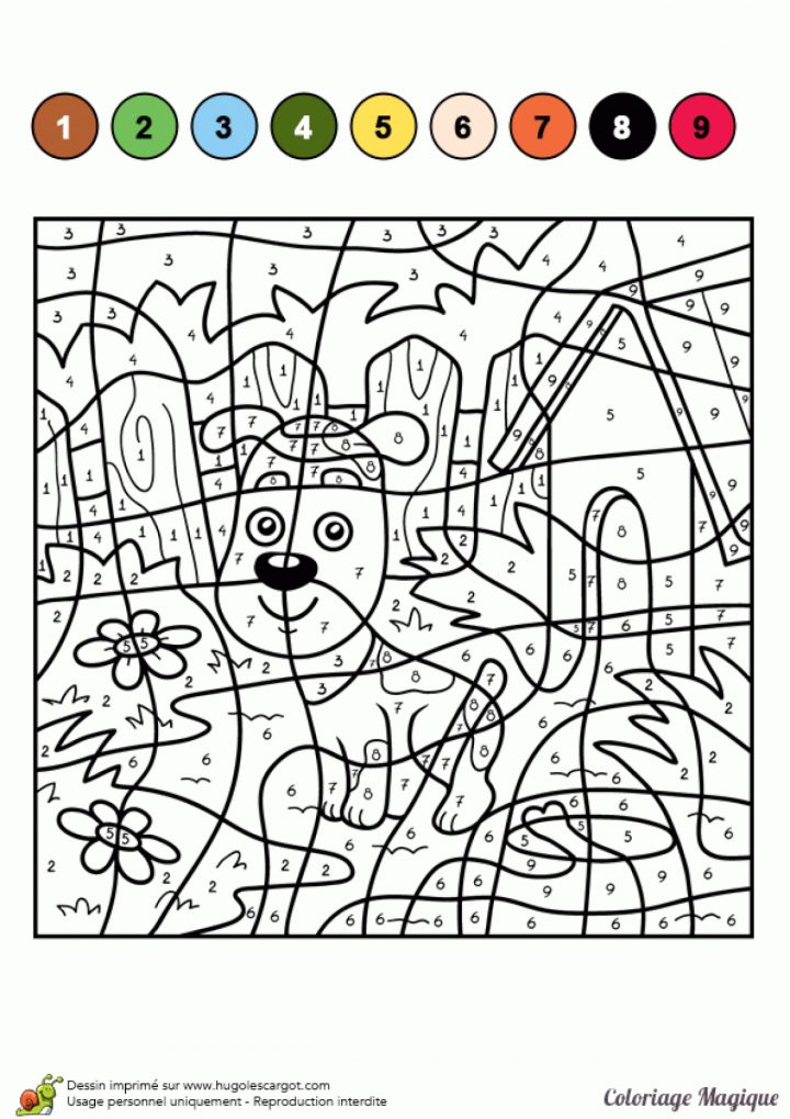 Dessin À Colorier D'un Coloriage Magique Cm1, Petit Chien tout Coloriage Magique Dur