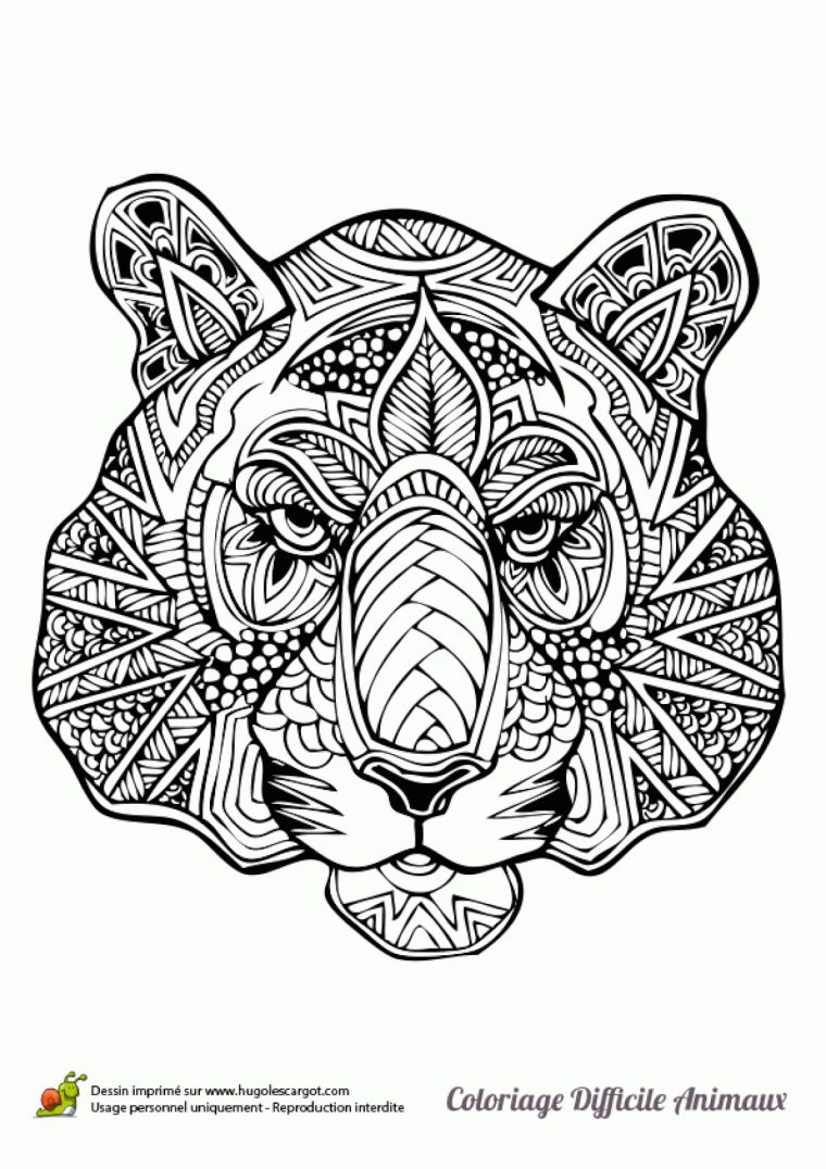 Dessin À Colorier D'une Tête De Tigre dedans Coloriage De Mandala Difficile A Imprimer