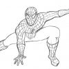 Dessin A Colorier Et Imprimer Spiderman pour Masque Spiderman A Imprimer