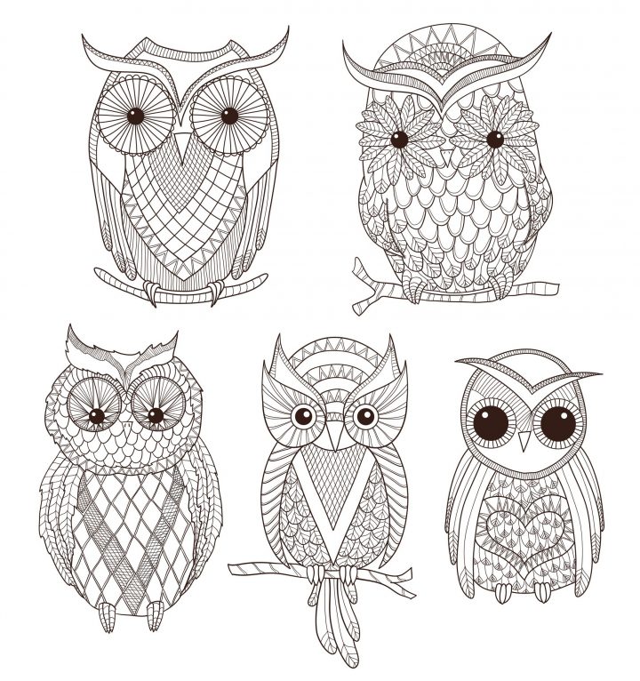 Dessin A Imprimer Hiboux encequiconcerne Dessin Hibou Facile