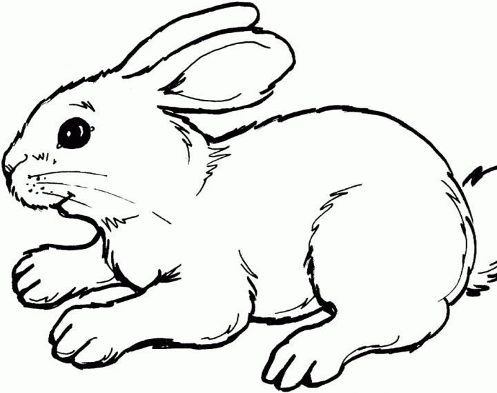 Dessin A Imprimer Lapin serapportantà Lapin Crétin À Colorier