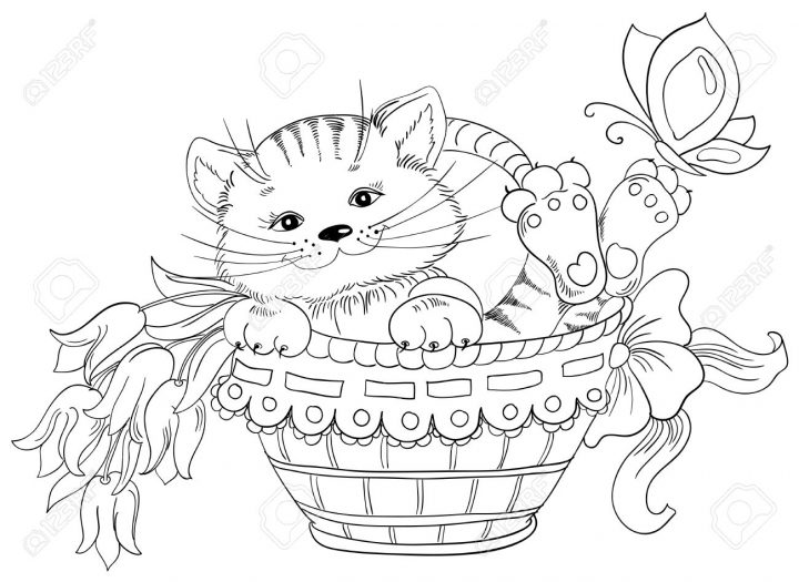 Dessin À La Main Vector Minou Et Bouquet De Fleurs Dans Le Panier tout Minou Dessin