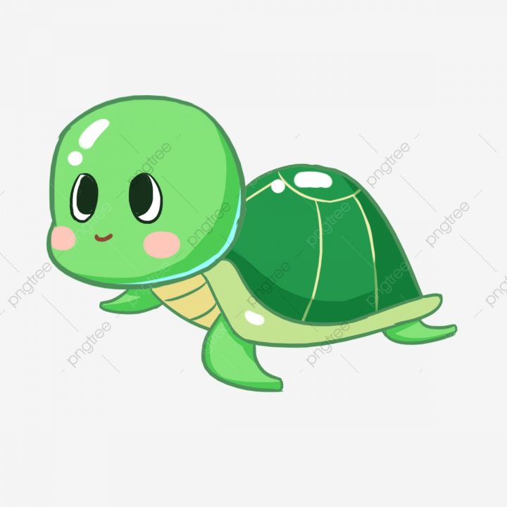 Dessin Animé Dessiné À La Main Jolie Petite Tortue La Vie serapportantà Dessiner Une Tortue