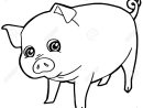 Dessin Animé Mignon Cochon Coloriage Page Illustration concernant Dessin A Colorier Cochon
