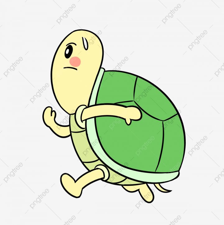 Dessin Animé Tortue Tortue Du Dessin Animé Animal, Dessin avec Dessiner Une Tortue