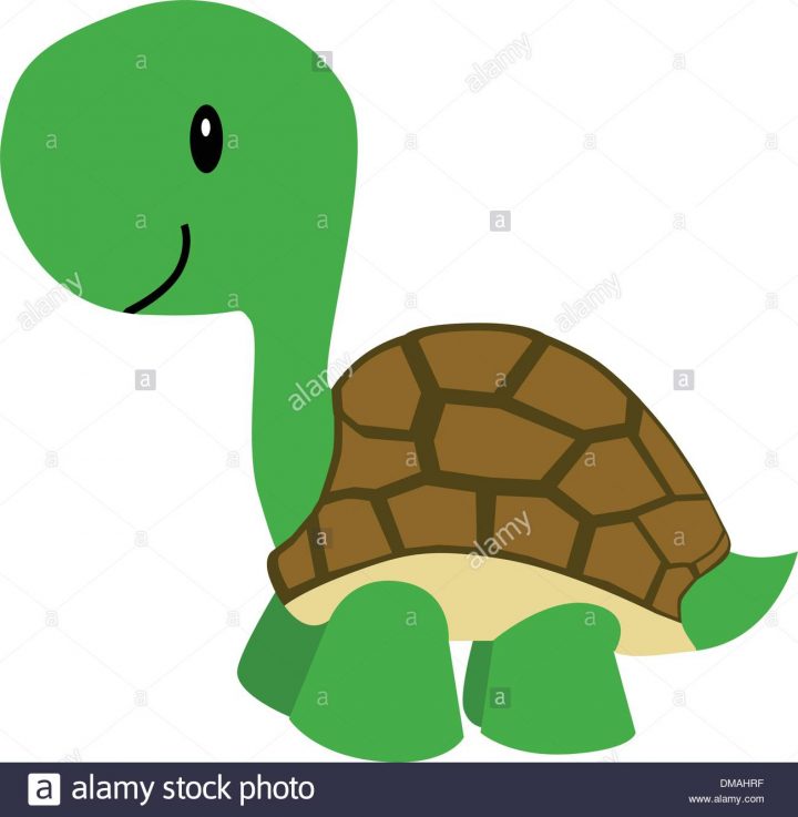 Dessin Animé Tortue Vecteurs Et Illustration, Image pour Dessiner Une Tortue