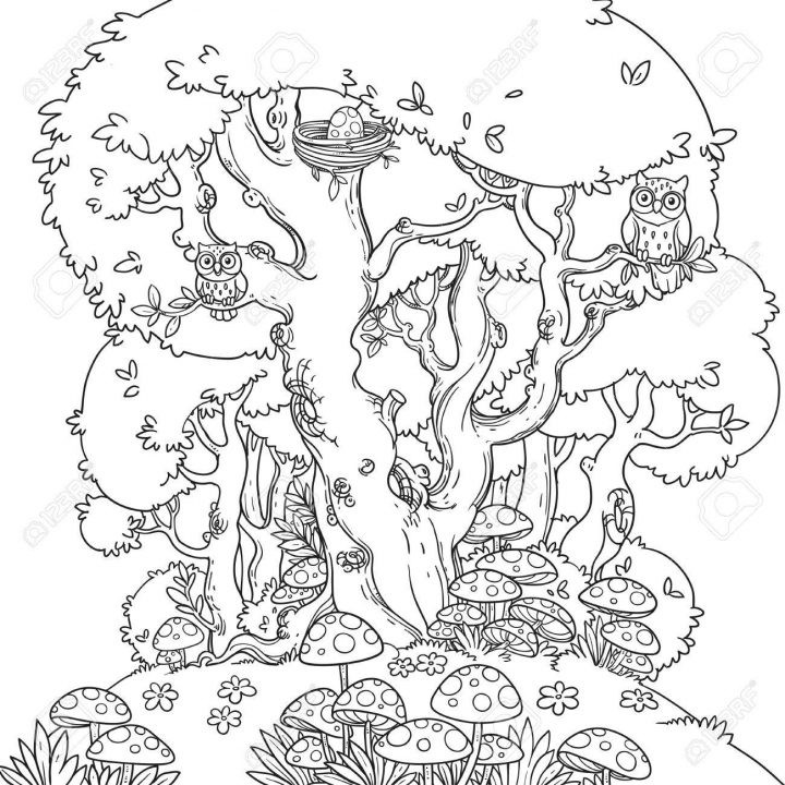 Dessin Au Trait D'une Clairière De La Forêt Avec Champignon Et Un Grand  Arbre Qui Abrite Des Hiboux Isolés Sur Fond Blanc concernant Dessin De Foret