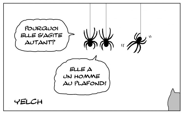 Dessin D'arachnides – Blagues Et Dessins concernant Dessiner Une Araignee