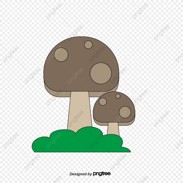 Dessin De Champignon Rouge, Le Vecteur De Png, Champignons encequiconcerne Dessiner Un Champignon