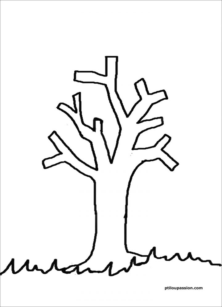 Dessin De Feuille D Arbre A Imprimer – destiné Dessin De Feuille D Arbre À Imprimer