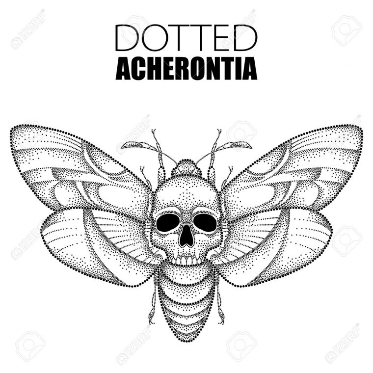 Dessin De La Tête Hawk La Teigne Du Pointillé Mort Noir Ou Acherontia  Atropos Isolé Sur Fond Blanc. Illustration De Papillon Avec Le Crâne Dans  Un destiné Dessin En Pointillé