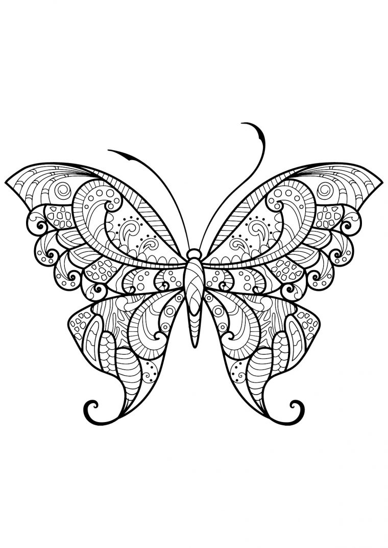 Dessin De Papillons Gratuit À Imprimer Et Colorier pour Dessin Papillon À Colorier