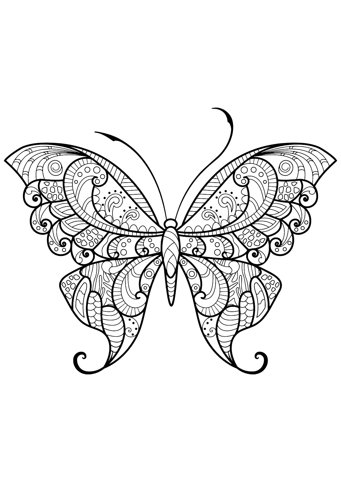 Dessin De Papillons Gratuit À Imprimer Et Colorier pour Dessin Papillon À Colorier