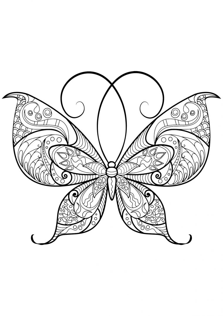 Dessin De Papillons Gratuit À Télécharger Et Colorier intérieur Dessin Papillon À Colorier