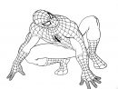 Dessin De Spiderman Gratuit À Télécharger Et Colorier tout Coloriage À Colorier Sur L Ordinateur Gratuit