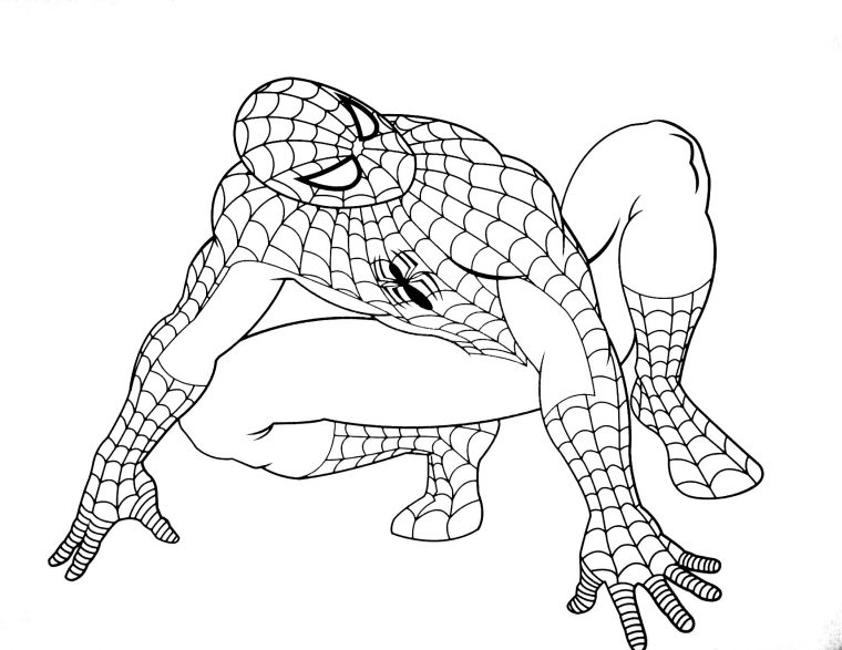 Dessin De Spiderman Gratuit À Télécharger Et Colorier tout Coloriage À Colorier Sur L Ordinateur Gratuit