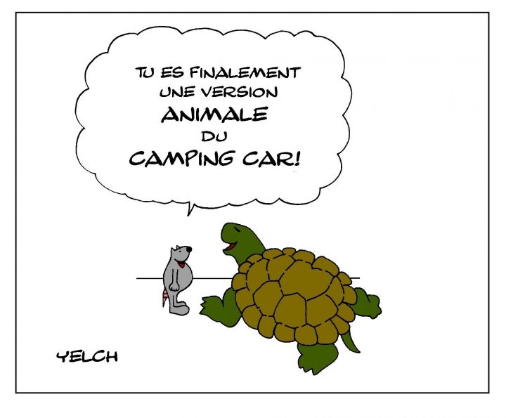 Dessin De Tortue – Blagues Et Dessins serapportantà Dessiner Une Tortue