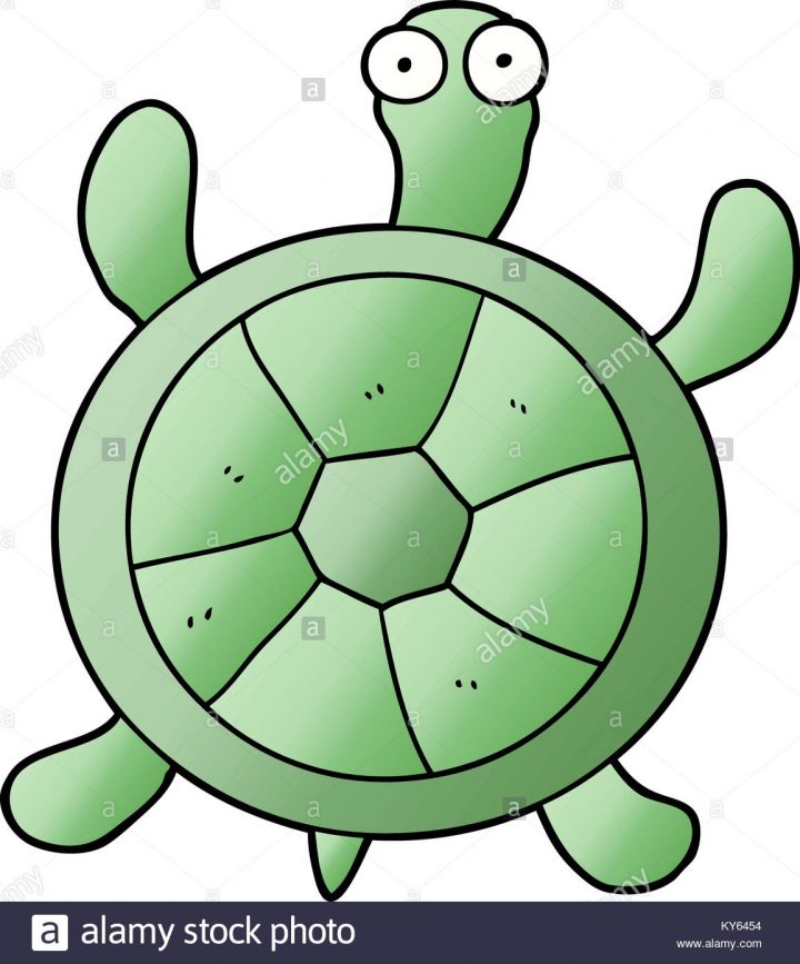 Dessin De Tortue Vecteurs Et Illustration, Image Vectorielle tout Dessiner Une Tortue