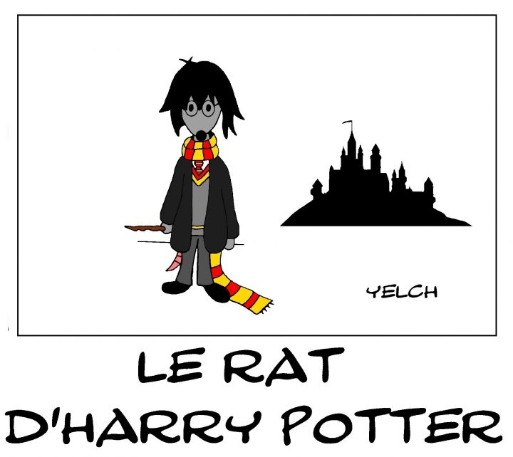 Dessin D'harry Potter – Blagues Et Dessins pour Dessin D Harry Potter