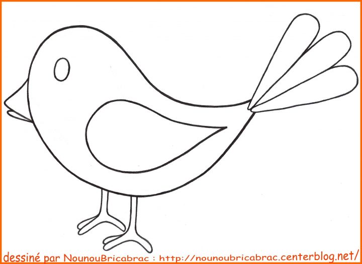 Dessin Facile Oiseau Picture | Oiseau Coloriage, Coloriage