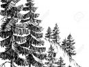 Dessin: Forêt De Pins, Montagne D'hiver Paysage Dessin encequiconcerne Dessin De Paysage D Hiver