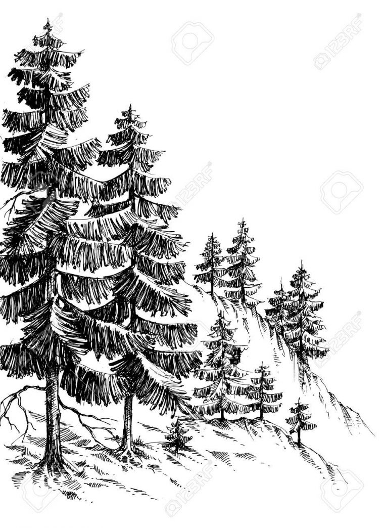 Dessin: Forêt De Pins, Montagne D'hiver Paysage Dessin encequiconcerne Dessin De Paysage D Hiver