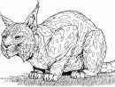 Dessin Lynx Parclipart Library - Coloriage Animaux A encequiconcerne Animaux A Dessiner Imprimer