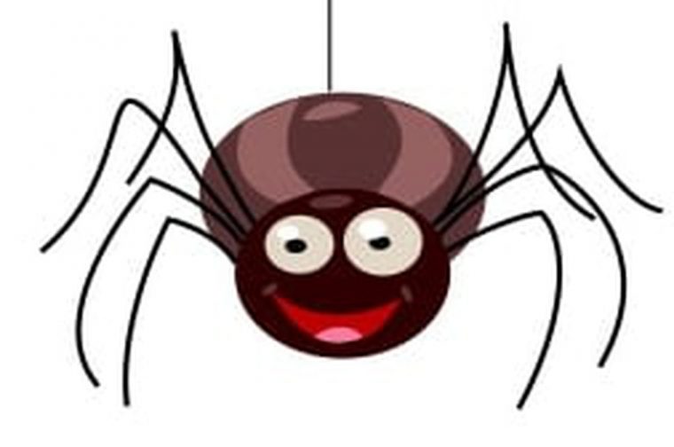 Dessiner Une Araignée destiné Dessin D Halloween Facile A Dessiner