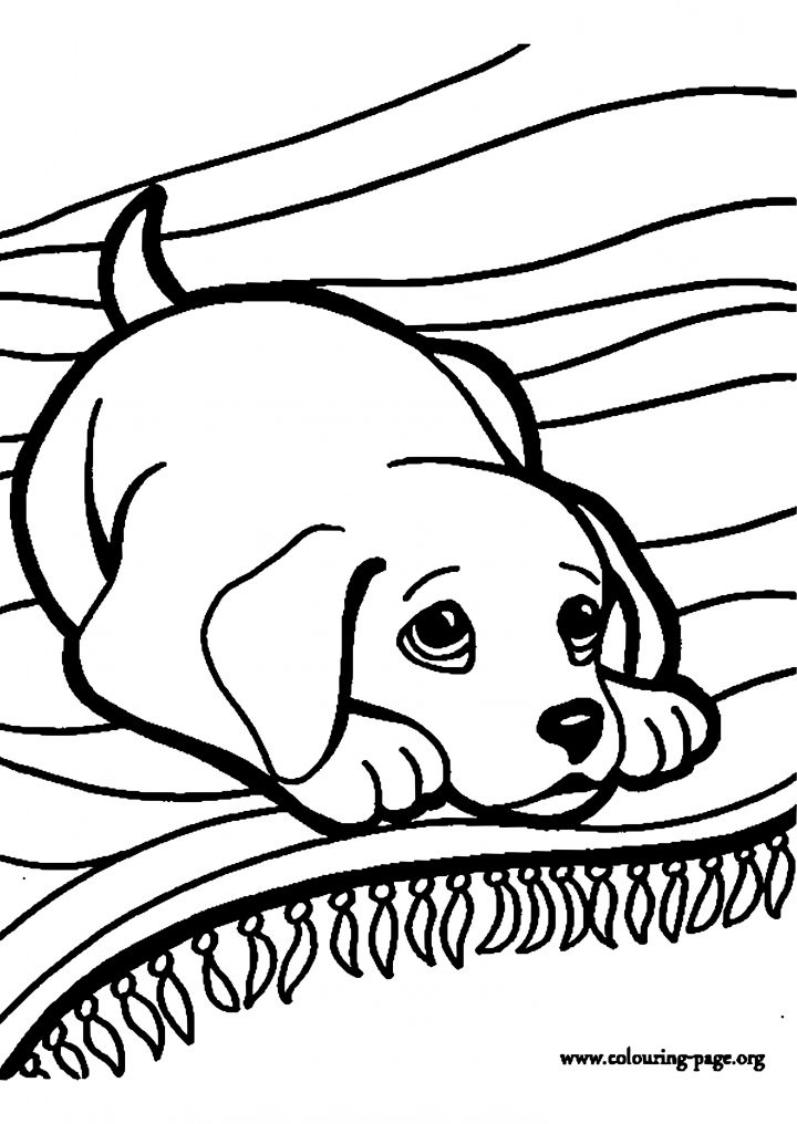 Dessins Colorier Coloriage Chiot Imprimer L Int Rieur pour Coloriage De Chiot A Imprimer