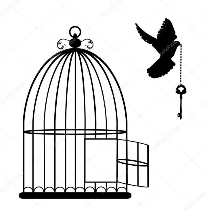 Dessins De Cage D'oiseaux – Yahoo Image Search Results dedans Dessin De Cage D Oiseau