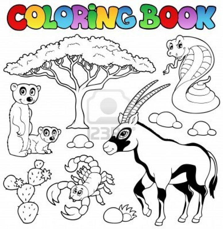 Dessins En Couleurs À Imprimer : Le Livre De La Jungle serapportantà Livre De Coloriage À Imprimer