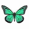 Dessins En Couleurs À Imprimer : Papillon, Numéro : 158552 encequiconcerne Dessin A Imprimer Papillon Gratuit