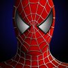 Dessins En Couleurs À Imprimer : Spiderman, Numéro : 271763 serapportantà Masque Spiderman A Imprimer