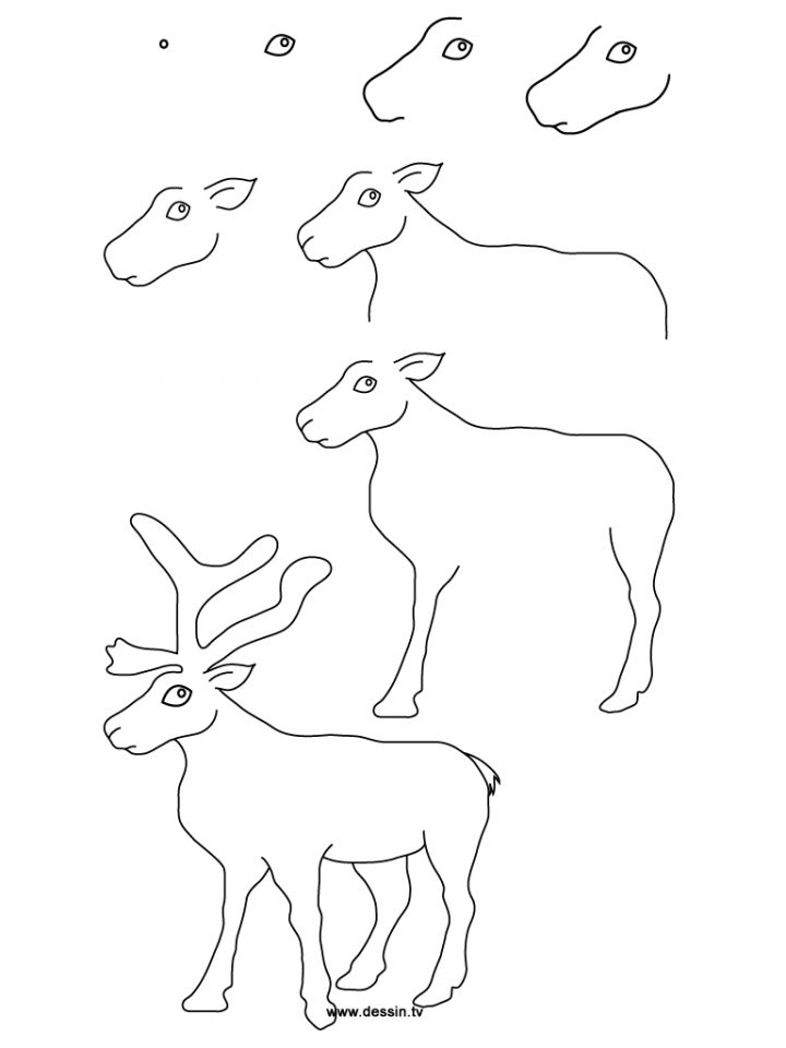 Dessins Gratuits À Colorier – Coloriage Caribou À Imprimer avec Caribou Dessin