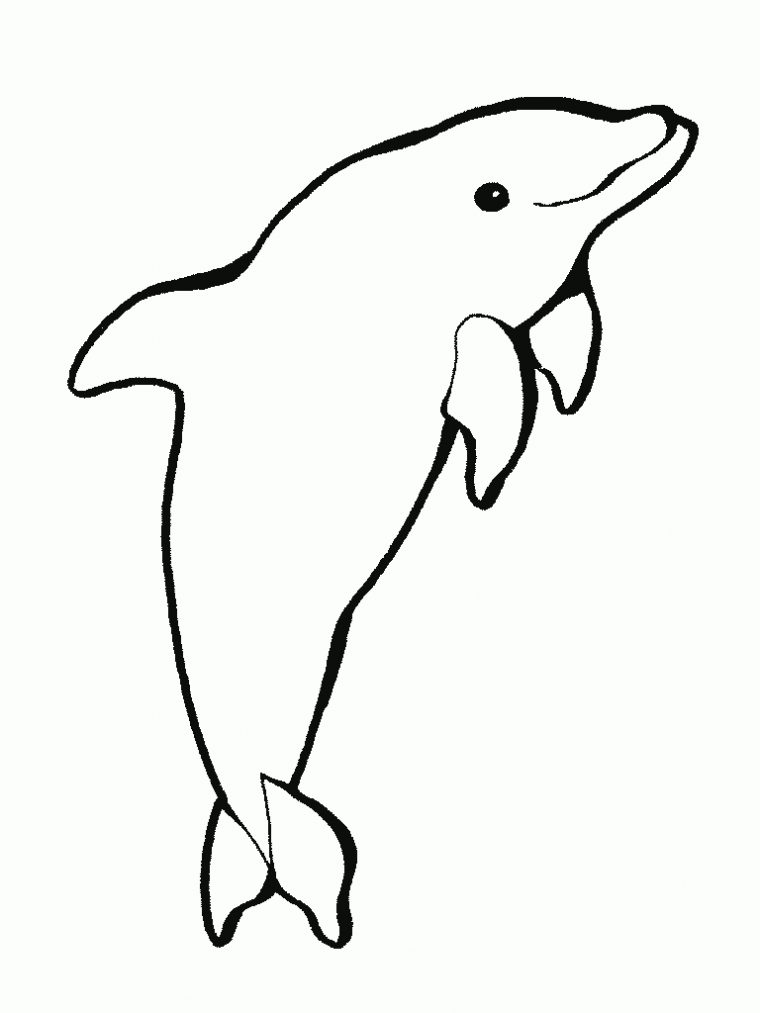 Dessins Gratuits À Colorier – Coloriage Dauphin À Imprimer à Dessin Dauphin À Imprimer