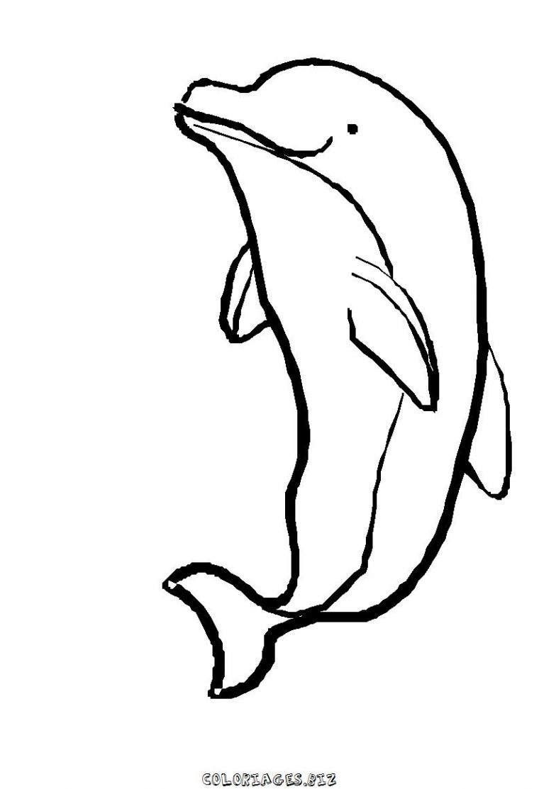 Dessins Gratuits À Colorier – Coloriage Dauphins À Imprimer concernant Dessin Dauphin À Imprimer