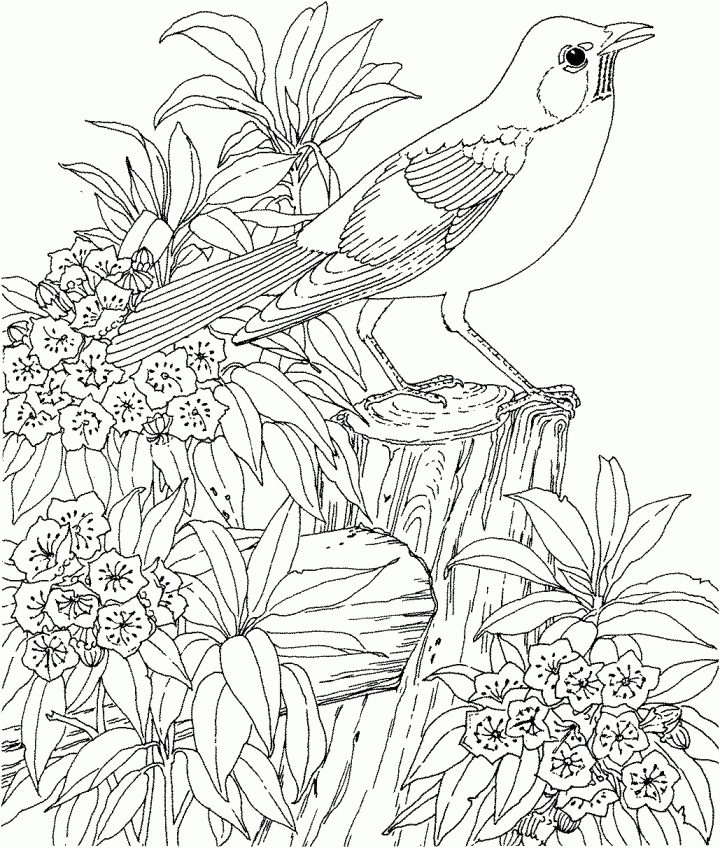 Dessins Gratuits À Colorier – Coloriage Fleur Adulte À Imprimer destiné Dessin A Imprimer Pour Adulte