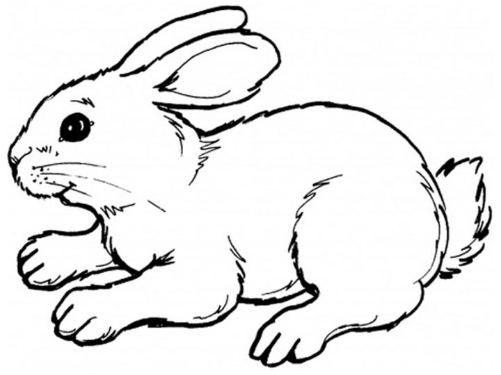 Dessins Gratuits À Colorier – Coloriage Lapin À Imprimer pour Lapin Crétin À Colorier