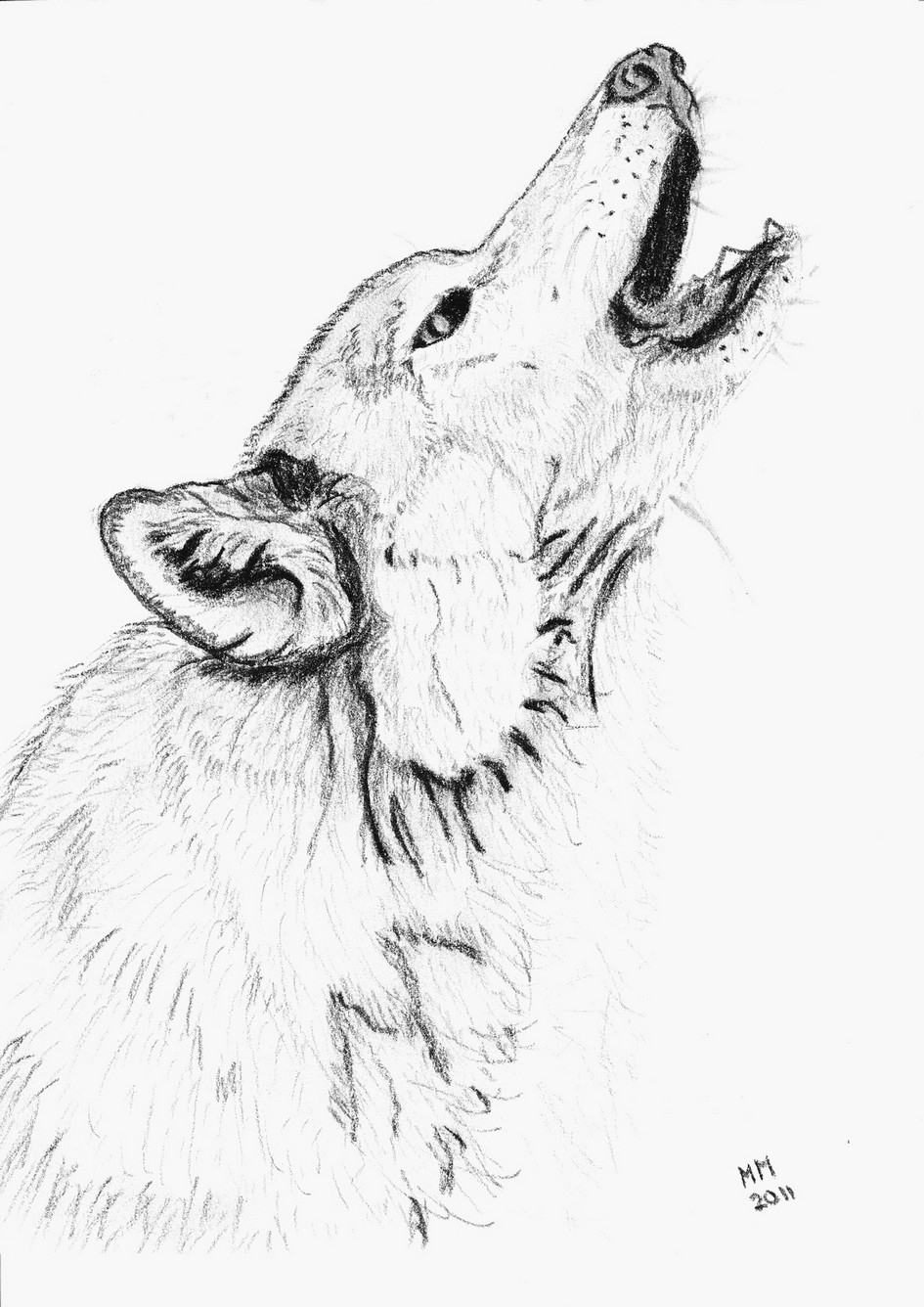 Dessins Gratuits À Colorier - Coloriage Loup À Imprimer intérieur Masque De Loup À Imprimer 