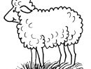 Dessins Gratuits À Colorier - Coloriage Mouton À Imprimer tout Photo De Mouton A Imprimer