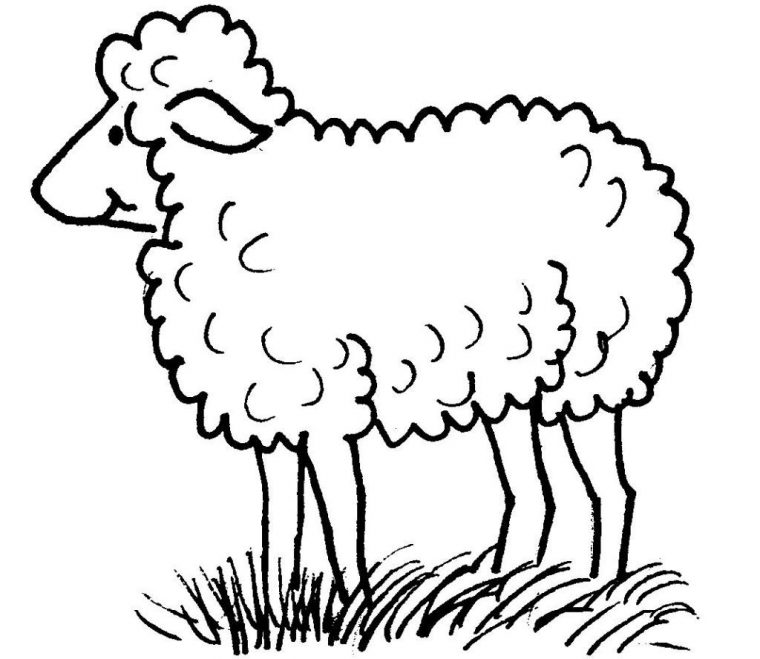 Dessins Gratuits À Colorier – Coloriage Mouton À Imprimer tout Photo De Mouton A Imprimer