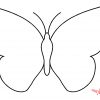 Dessins Gratuits À Colorier - Coloriage Papillon Maternelle concernant Dessin A Imprimer Papillon Gratuit
