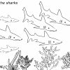 Dessins Gratuits À Colorier - Coloriage Requin À Imprimer à Coloriage Requin À Imprimer