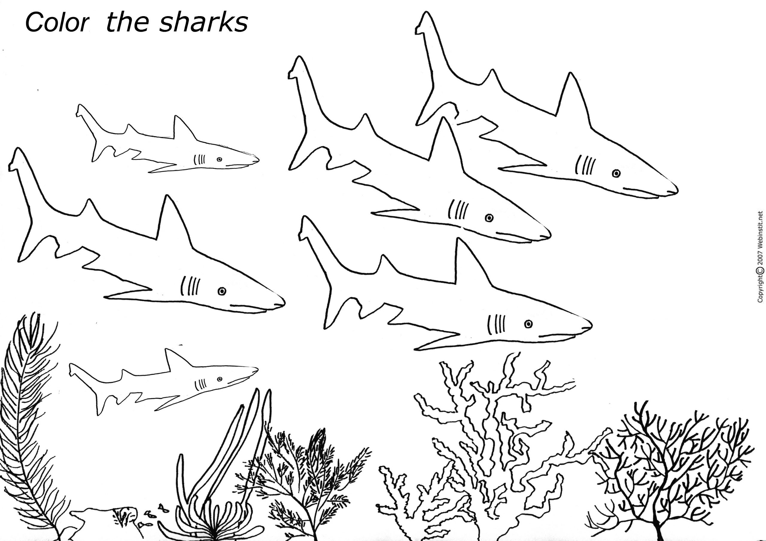 Dessins Gratuits À Colorier - Coloriage Requin À Imprimer concernant Coloriage Requin Blanc Imprimer 
