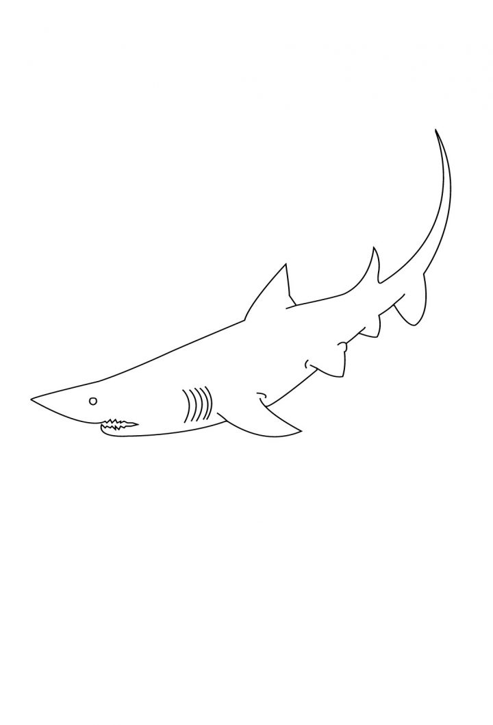 Dessins Gratuits À Colorier – Coloriage Requin À Imprimer encequiconcerne Coloriage Requin Blanc Imprimer