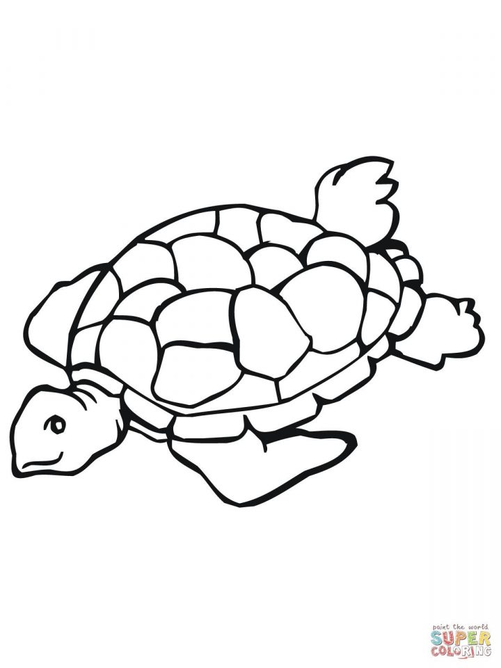 Dessins Gratuits Colorier Coloriage Tortue Imprimer serapportantà Dessin Tortue À Imprimer