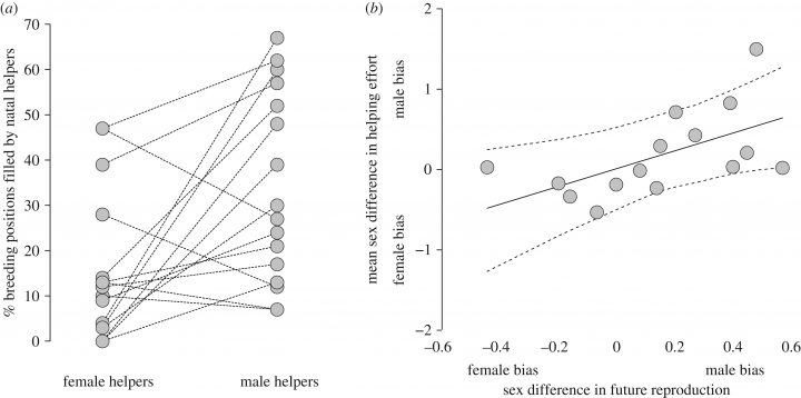 Differences In Helping Effort Reveal The Effect Of tout Reproduire Une Figure