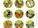 Digital Collage Feuille Summer Papillons 1 Pouce Rond destiné Etiquette Papillon A Imprimer